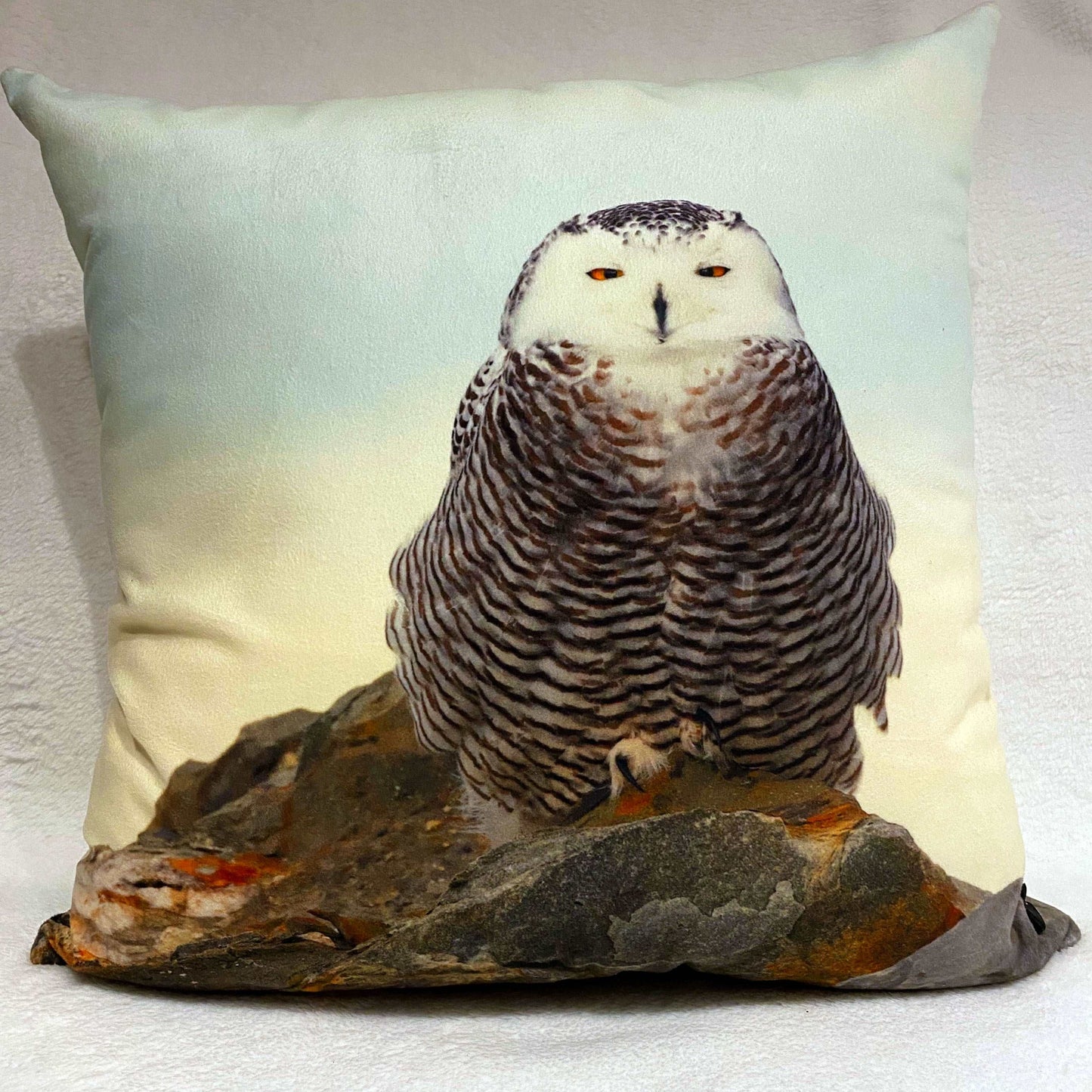 Coussin 18x18 Harfang au quai CS-1818-008