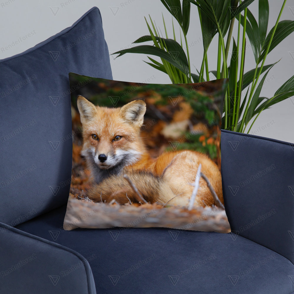 Coussin 18x18 Renard roux 1 CS-031