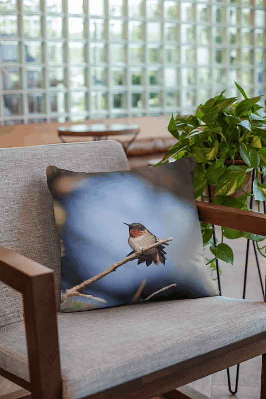 Coussin 18x18 Colibri gorge rubis mâle CS-1818-035