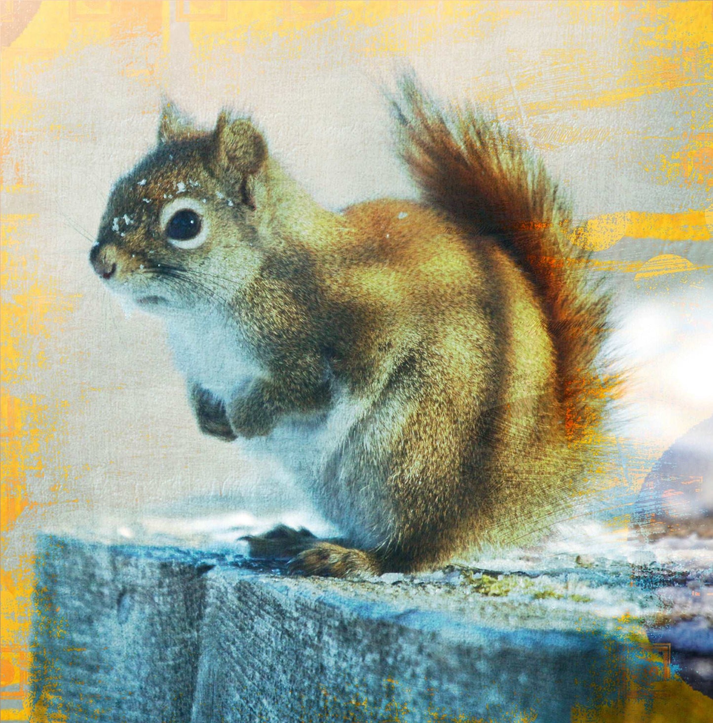 Coussin 14x14 Écureuil roux en hiver CS-1414-017