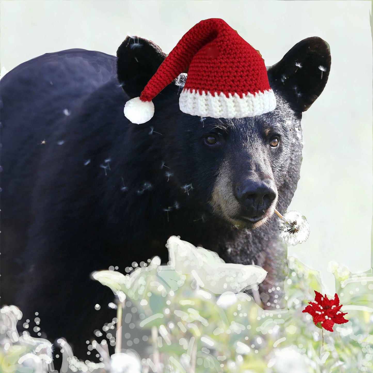 Coussins Noel 18x18 Ours de Noël CS-1818-N012