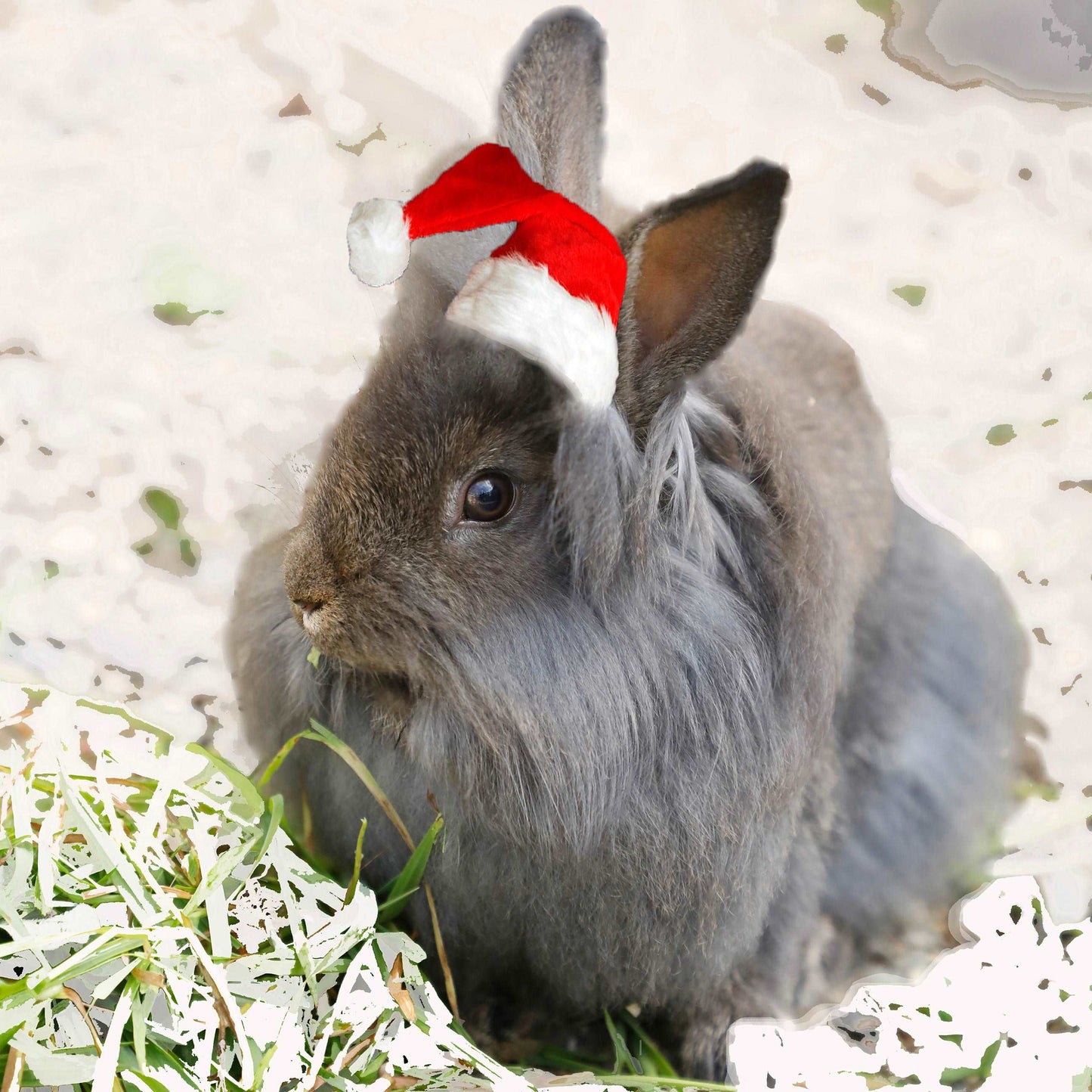 Coussins Noël 18x18 Lapin de Noël CS-1818-N014