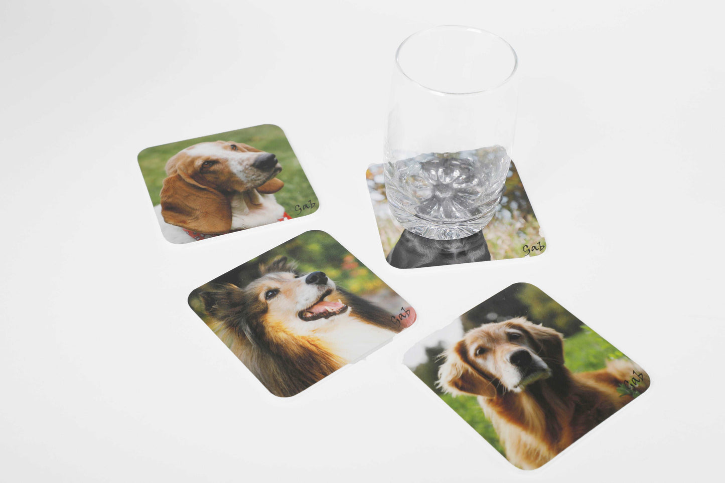 Ensemble de sous verres thématique Chiens