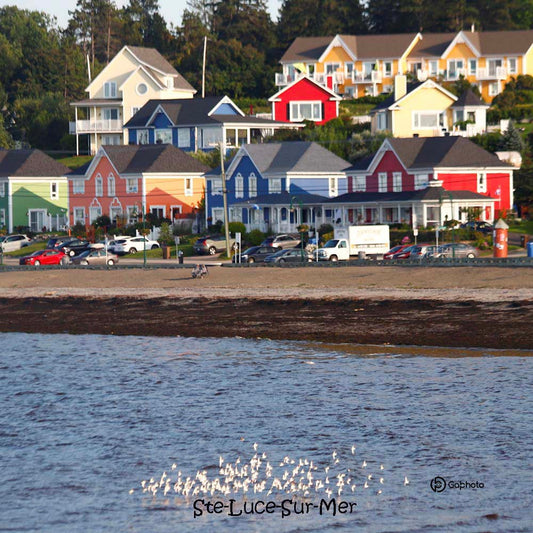 CoussinSte-Luce-Sur-Mereteprweb