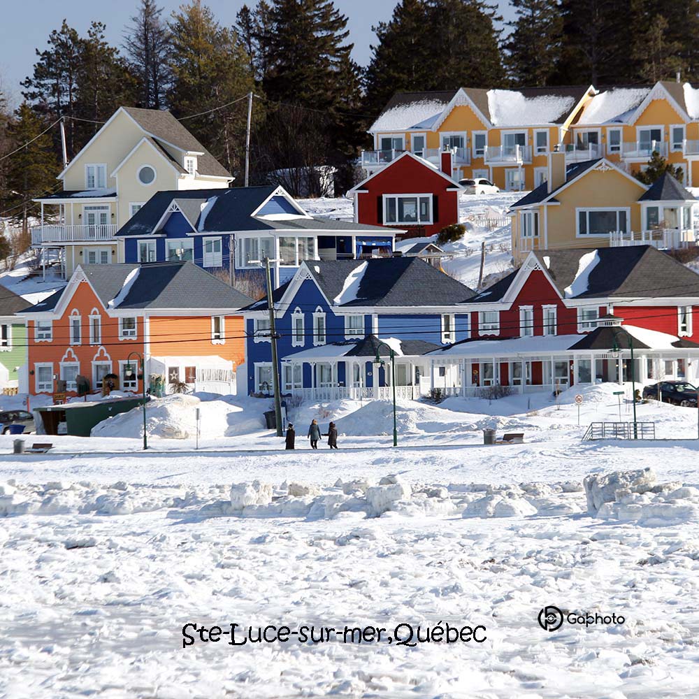 CoussinSte-Lucenohiverprweb