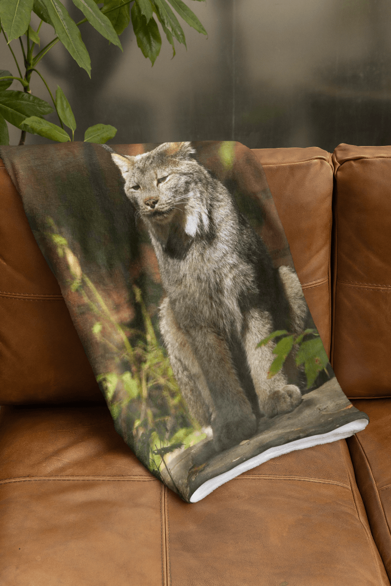 Couverturelynxmockup2