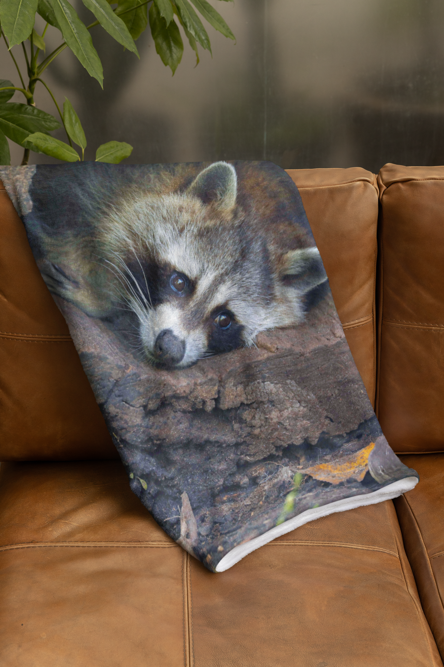 Blankets Raccoon at rest 46x56 CV-002