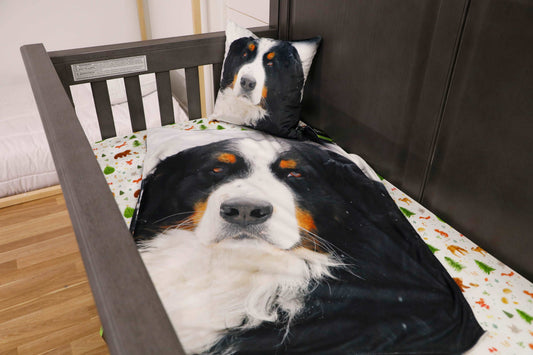 Doudou Bouvier Bernois 28x34 PC-001