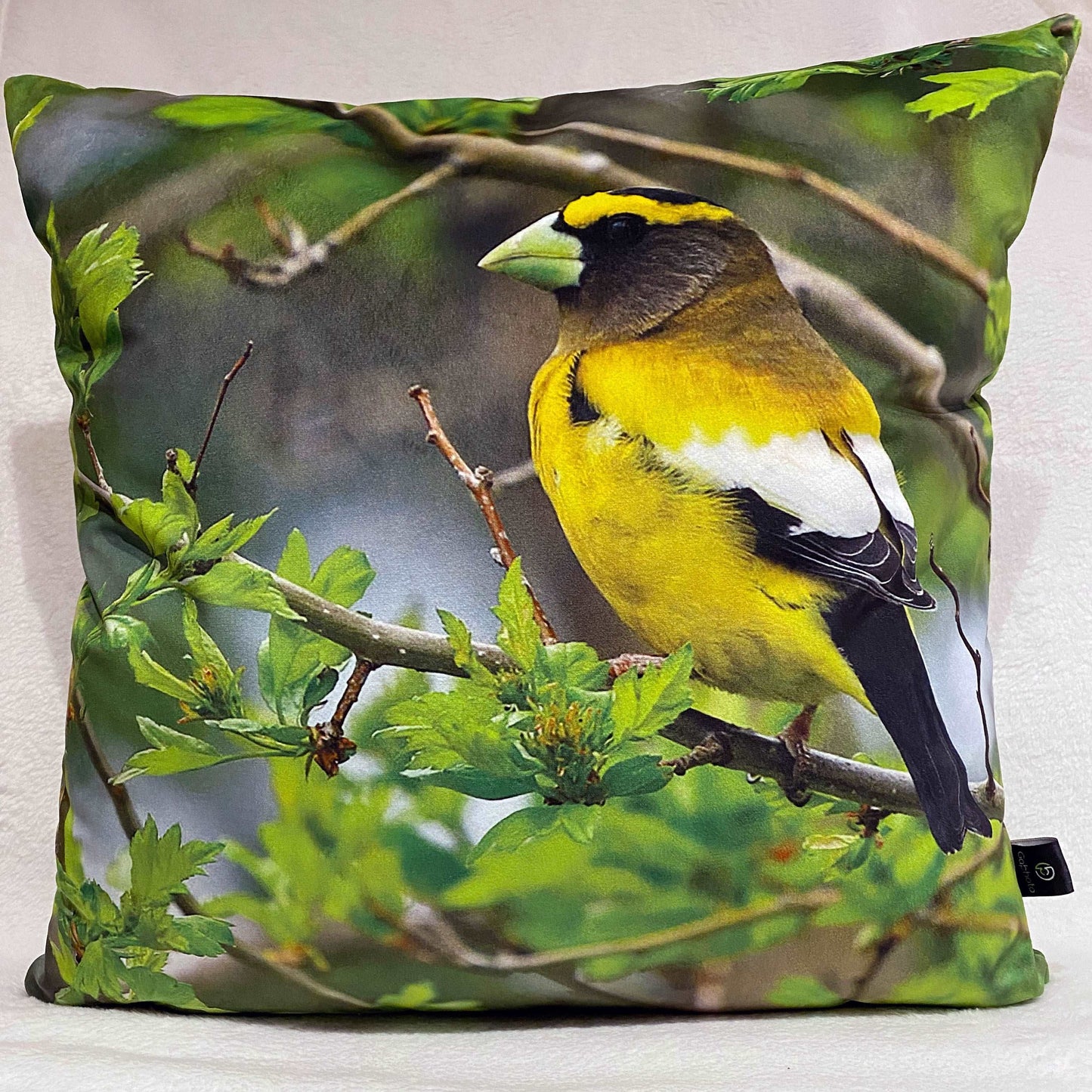 Coussin 18x18 Gros bec errant fond vert CS-1818-007