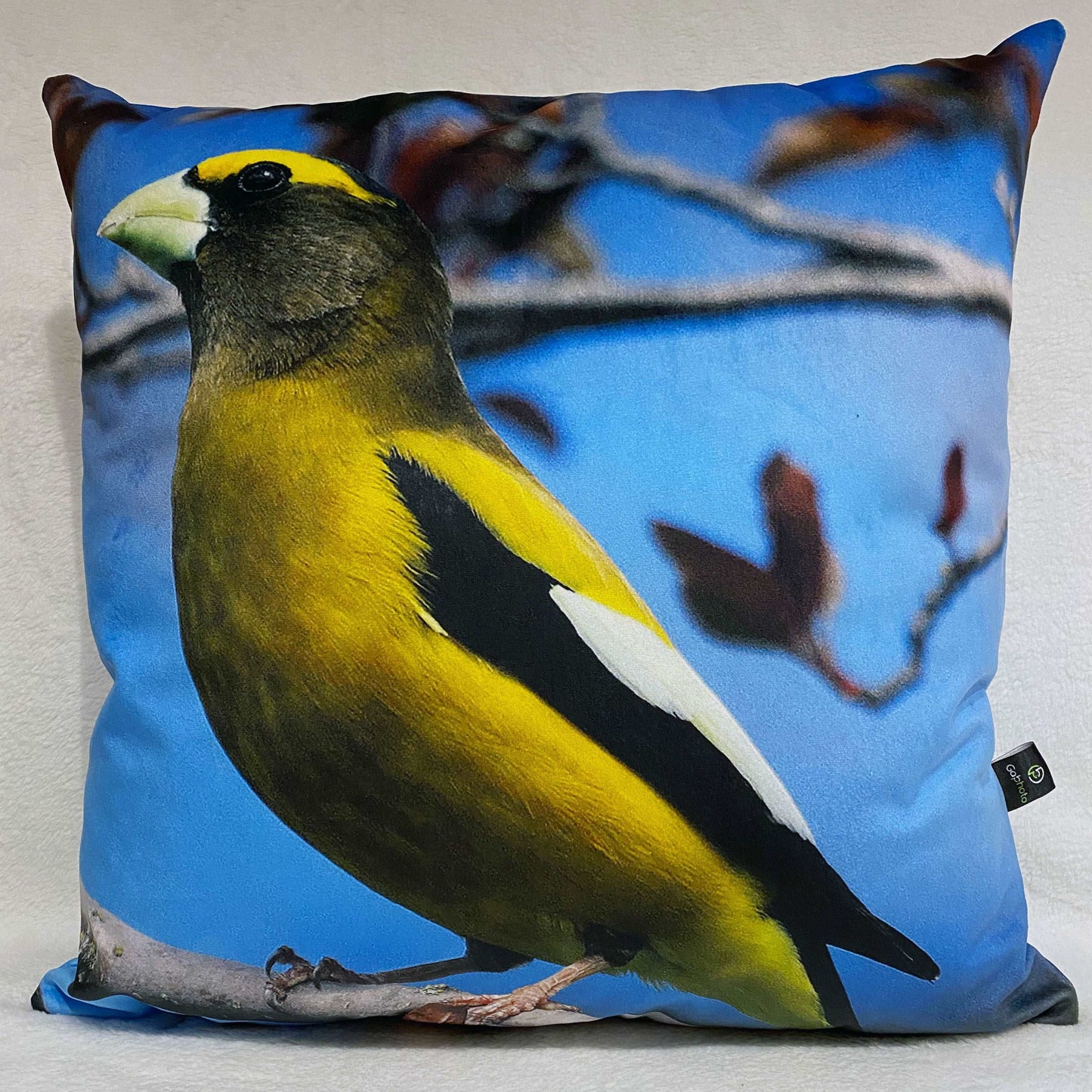 Coussin 18x18 Gros bec errant fond bleu CS-1818-006