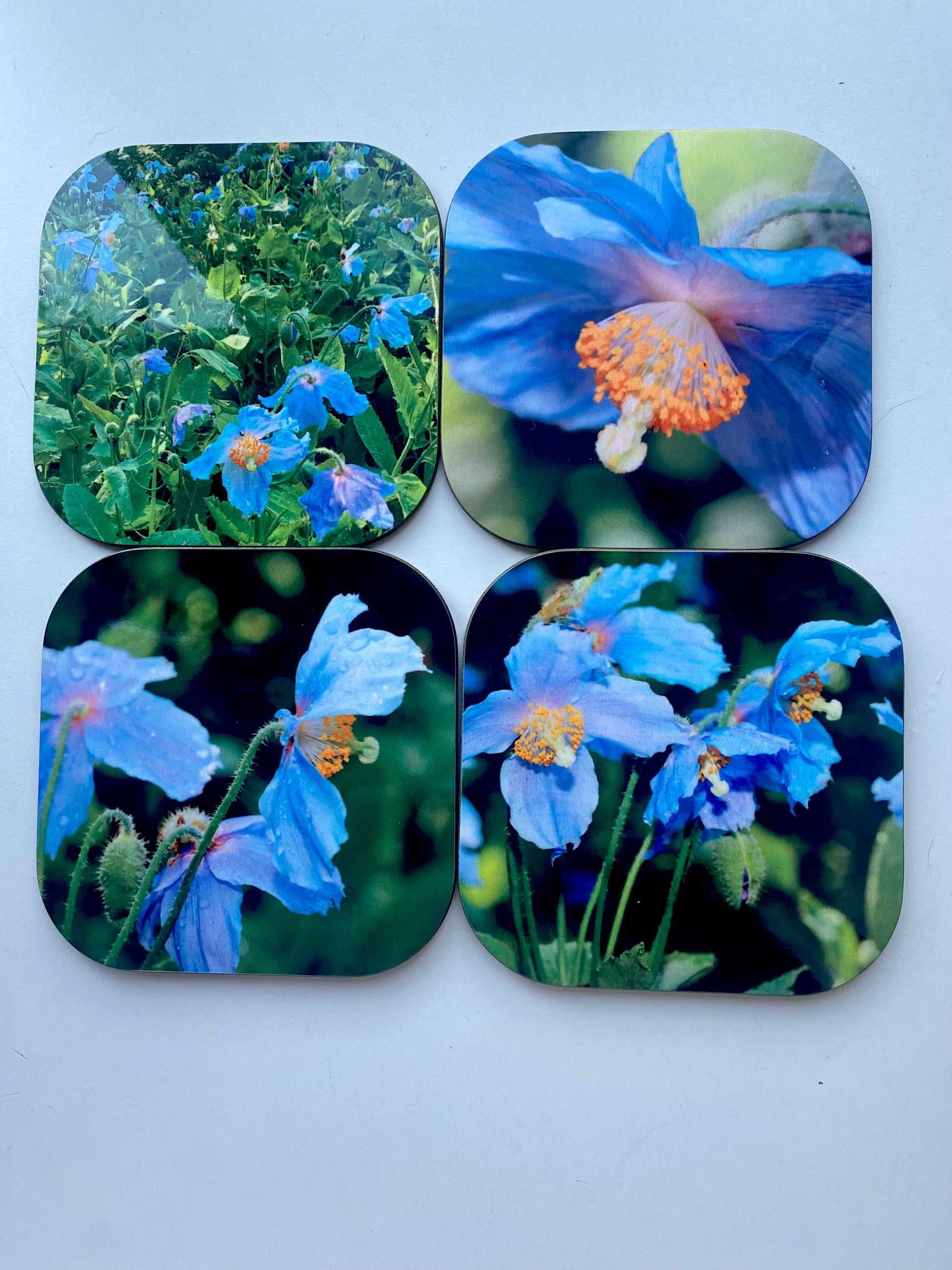 Ensemble de sous verres thématique Pavots bleus SV-001