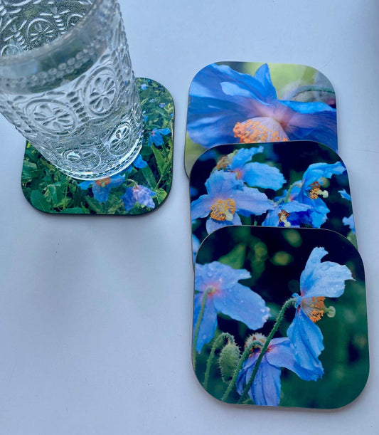 Ensemble de sous verres thématique Pavots bleus SV-001