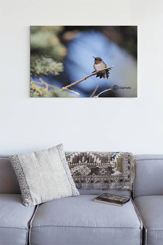 Image sur le mur