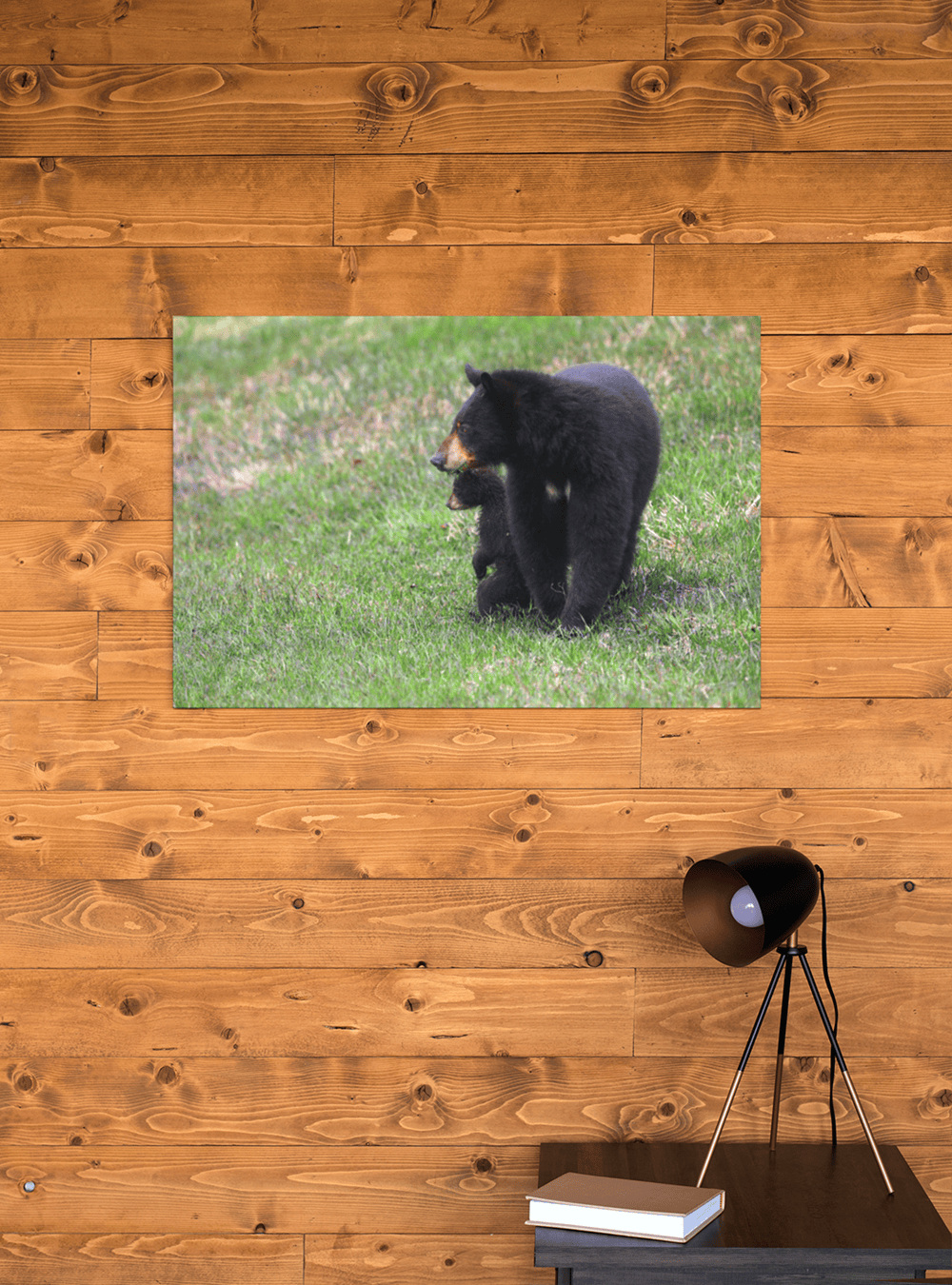 Image sur le mur
