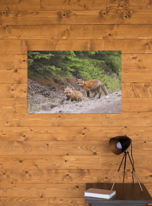 Image sur le mur