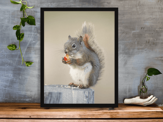 Image sur le mur