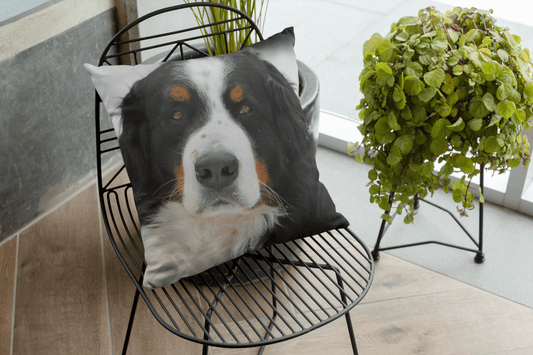 MockupCoussinBouvierBernois030-1