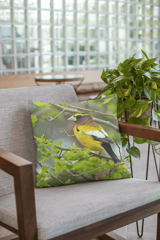 MockupCoussinGrosbec