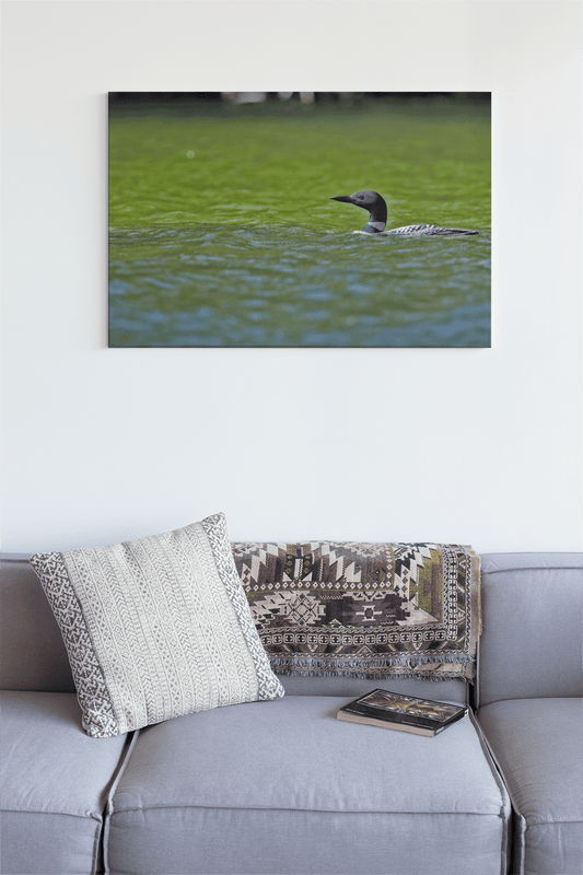 Image sur le mur