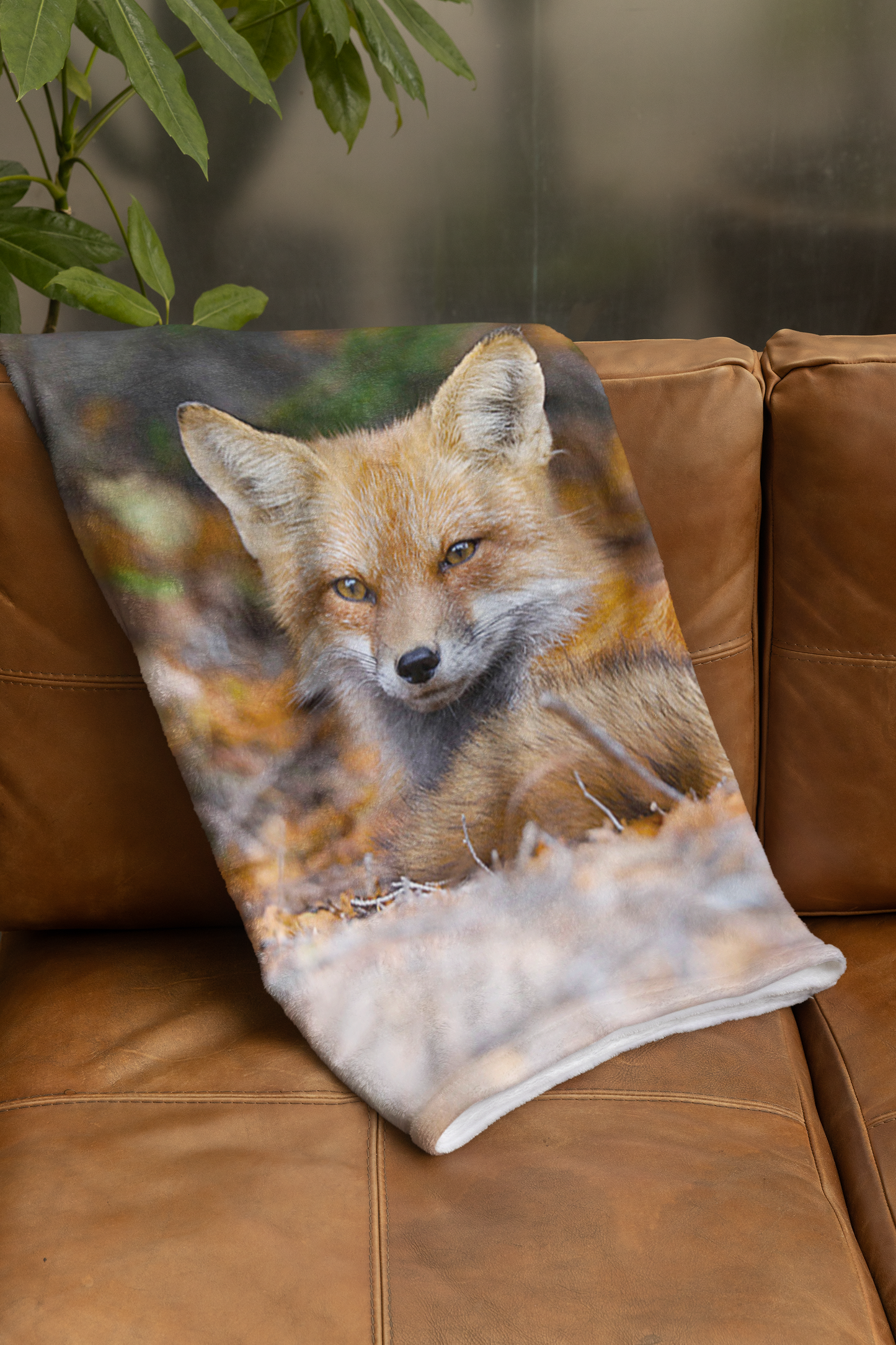 Couvertures Renard roux CV-036