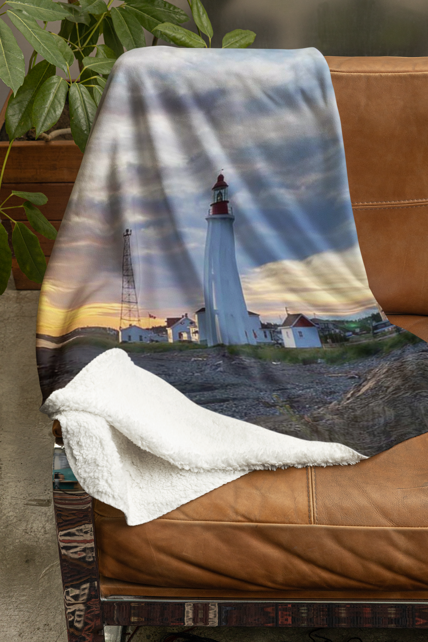 CV-012 Lying Cat Blankets