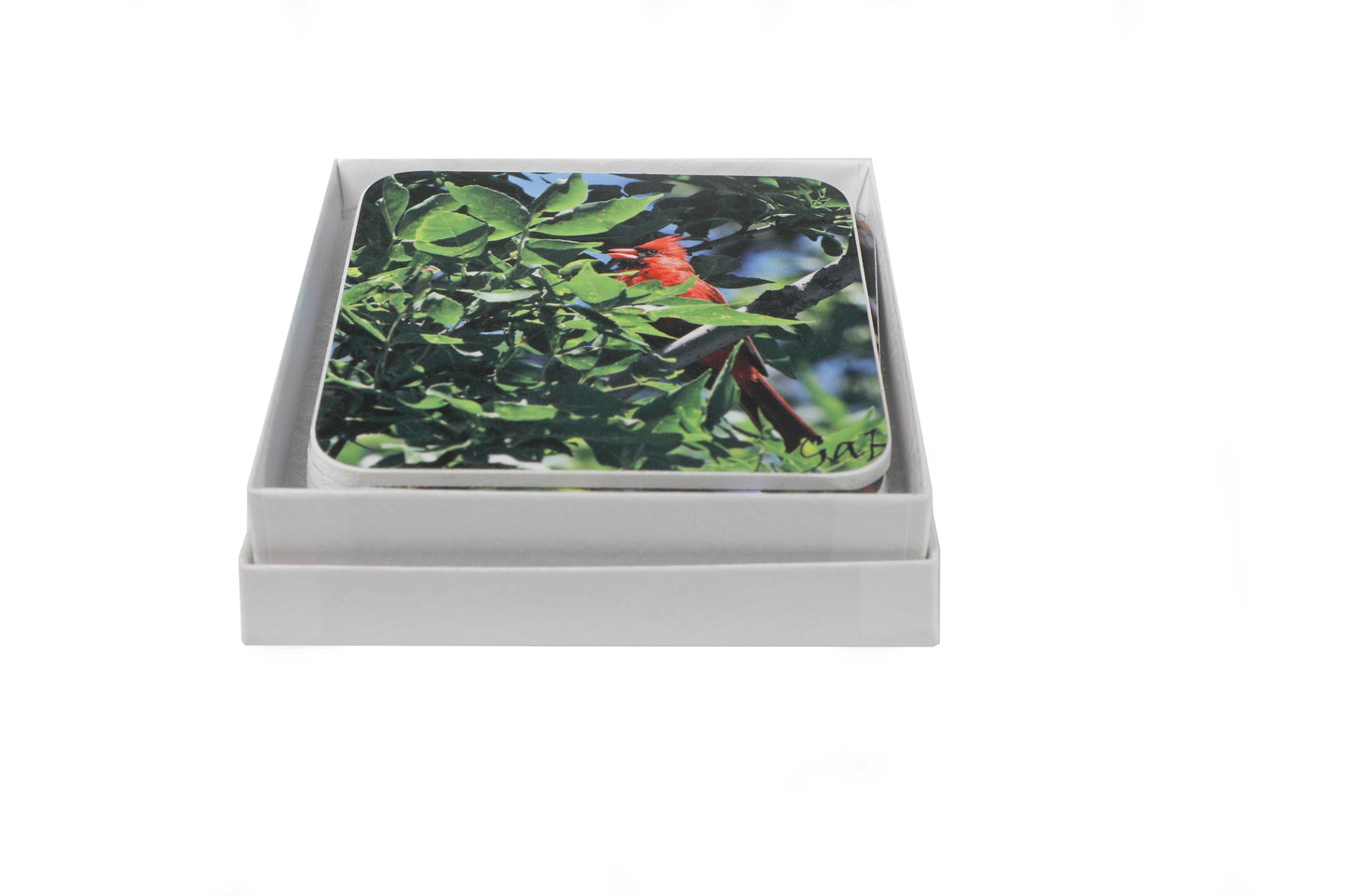 Ensemble de sous verres thématique Oiseaux de Jardins