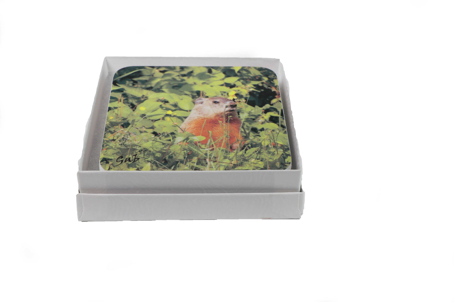 Ensemble de sous verres thématique Petites bêtes