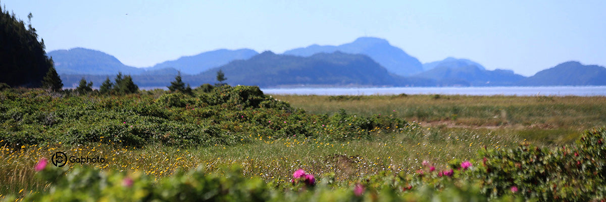 TASSEMEUTEDELOUPSSIGNEE