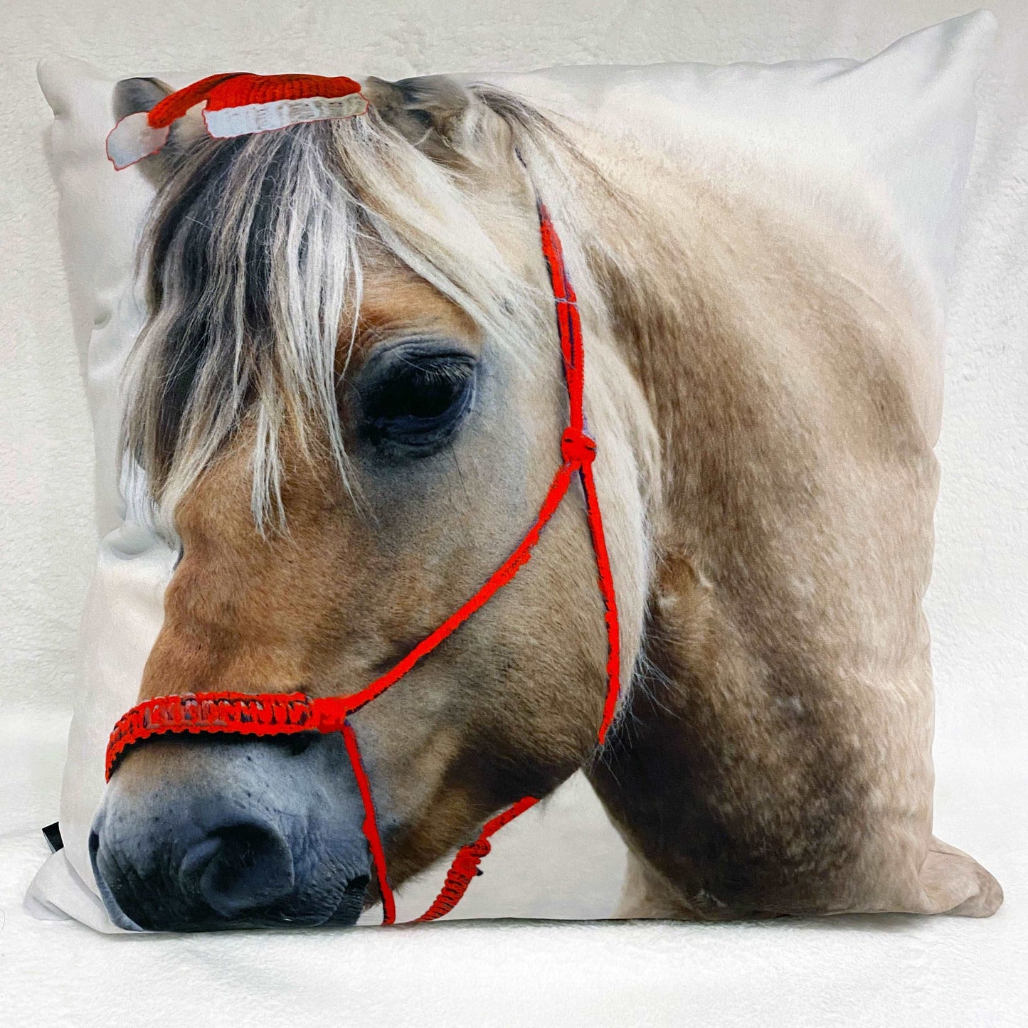 Coussins 18x18 de Noel Fjord CS-1818-N005