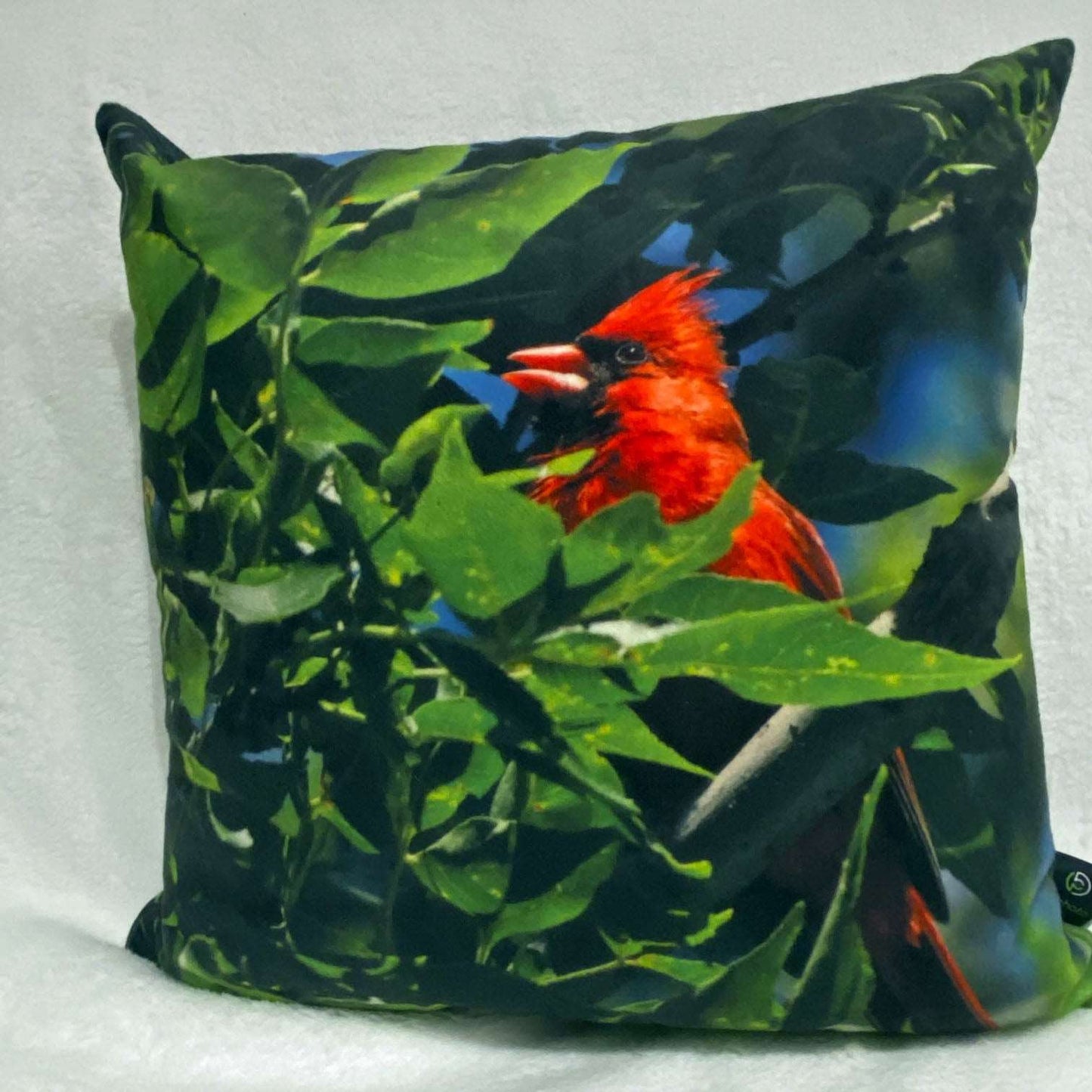 Coussin 14x14 Cardinal et feuillages CS-1414-001