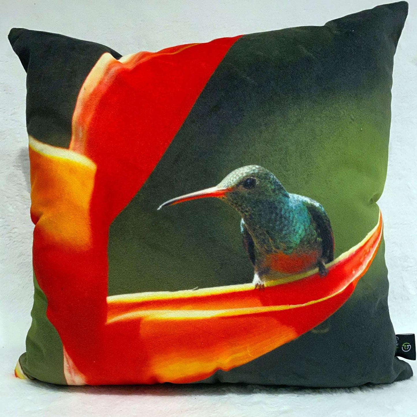 Coussin 14x14 Colibri Costa Rica CS-1414-004