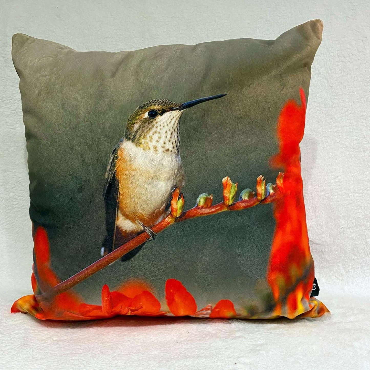 Coussin 14x14 Colibri roux fond gris CS-1414-006