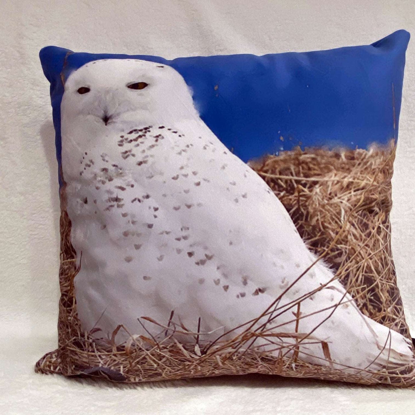 Coussin 14x14 Harfang marais salé CS-1414-010