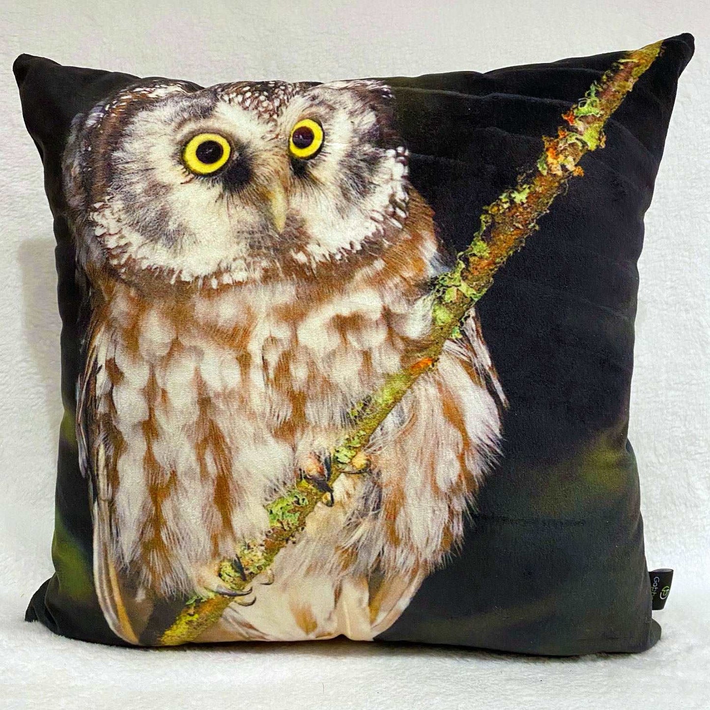 Coussin 14x14 Nyctale CS-1414-012