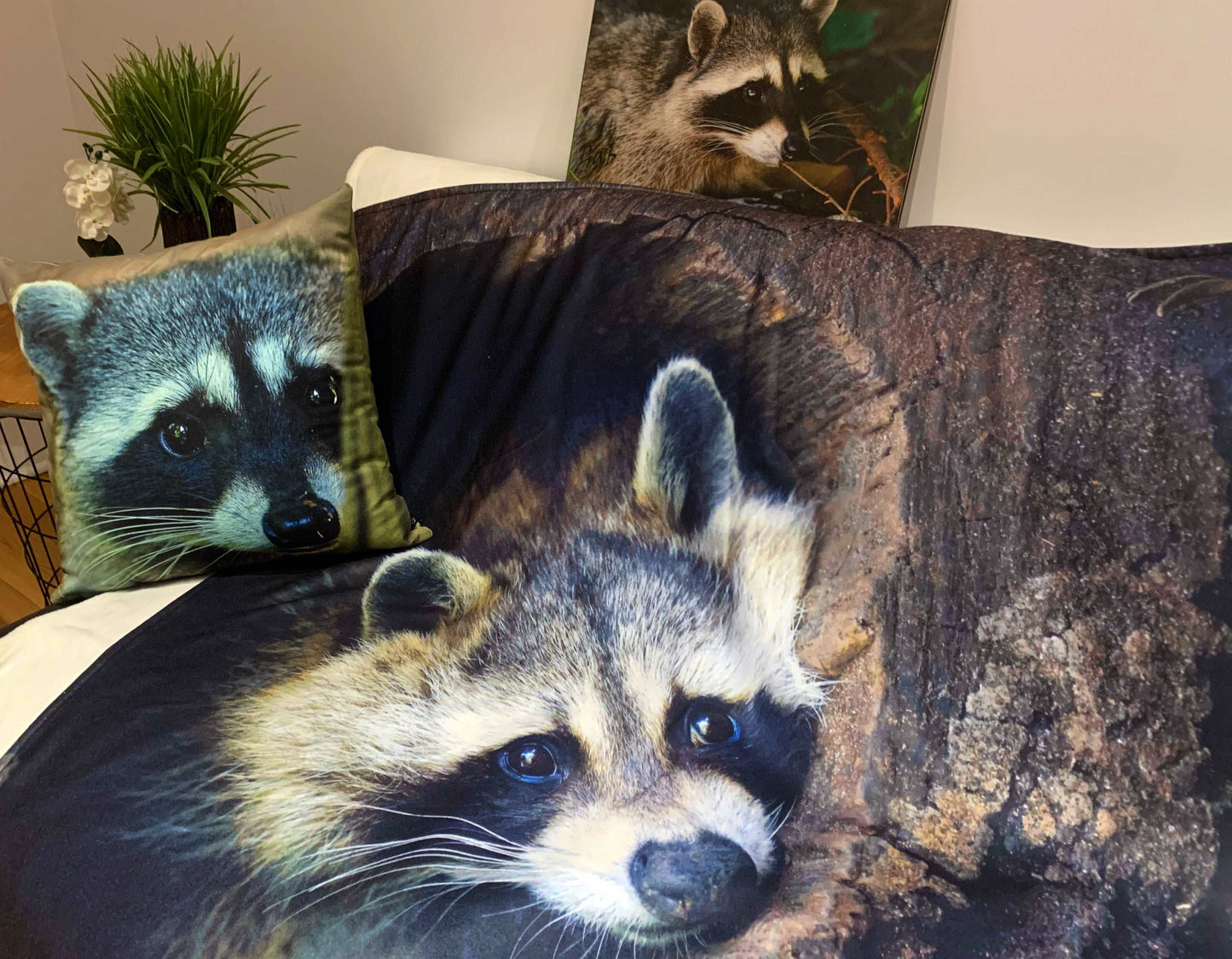 Couvertures Raton laveur au repos 46x56 CV-002