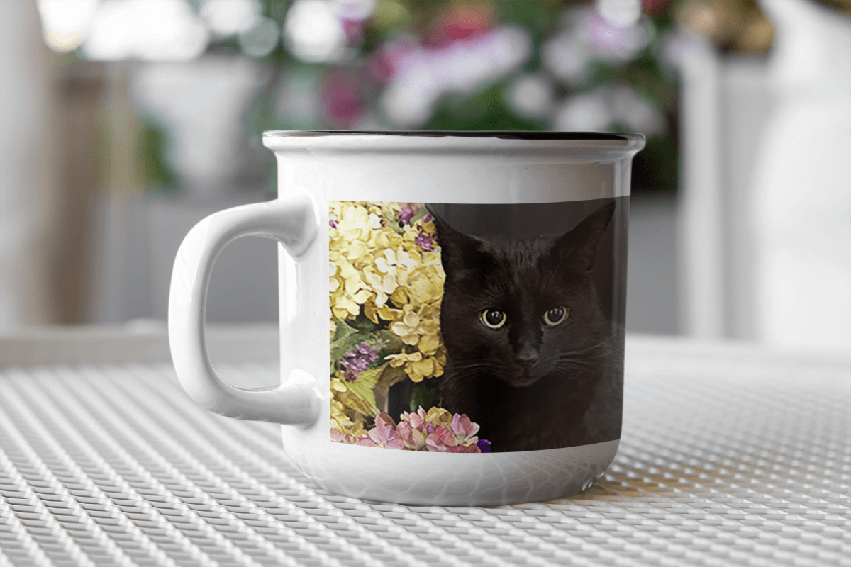 mockupTassechatnoirMeo