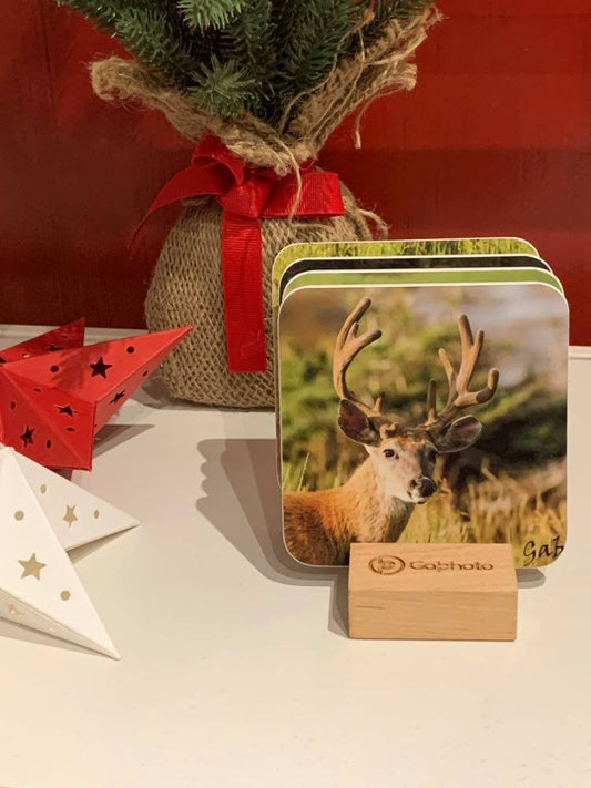 Deer themed coaster set