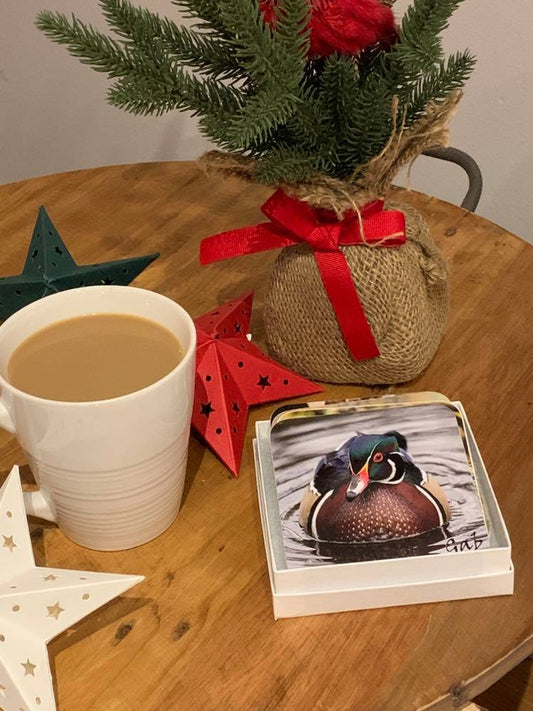 Ensemble de sous verres thématique Canards et Sauvagine