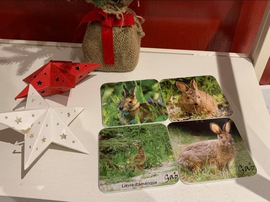 Ensemble de sous verres thématique Lièvre