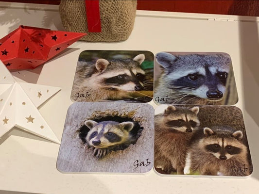 Ensemble de sous verres thématique Raton laveur