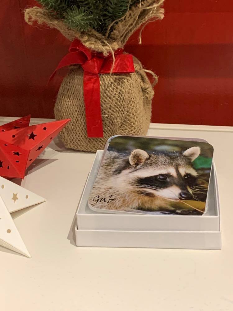 Raccoon themed coaster set