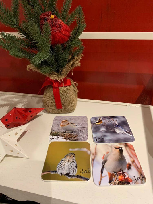 Ensemble de sous verres thématique Oiseaux de Jardins 2