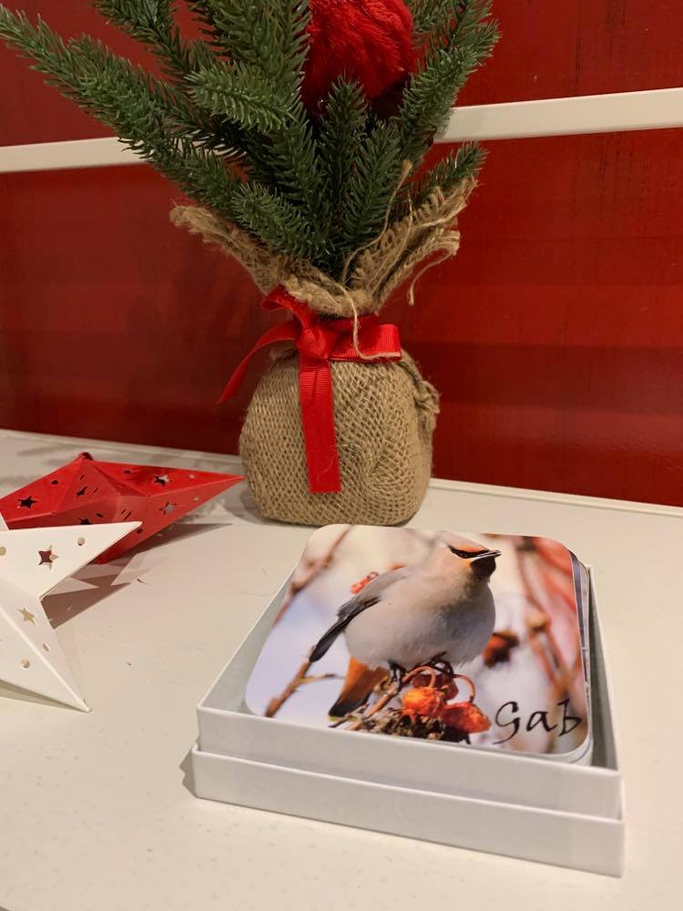 Set of Garden Birds themed coasters 2