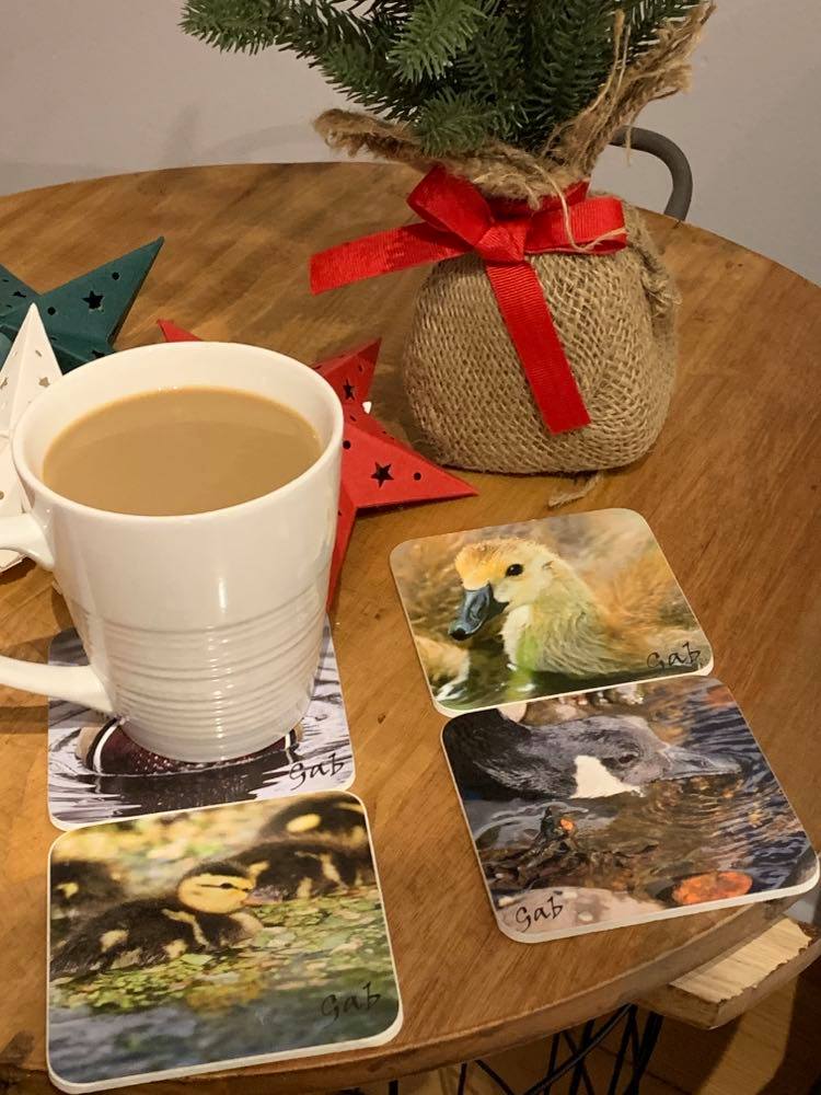 Ducks and Waterfowl themed coaster set