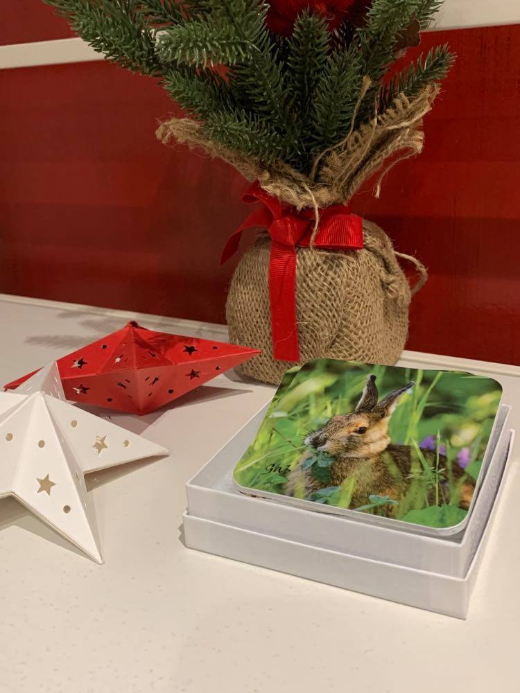 Hare themed coaster set