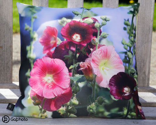 CoussinRosesTremieres09sept2021