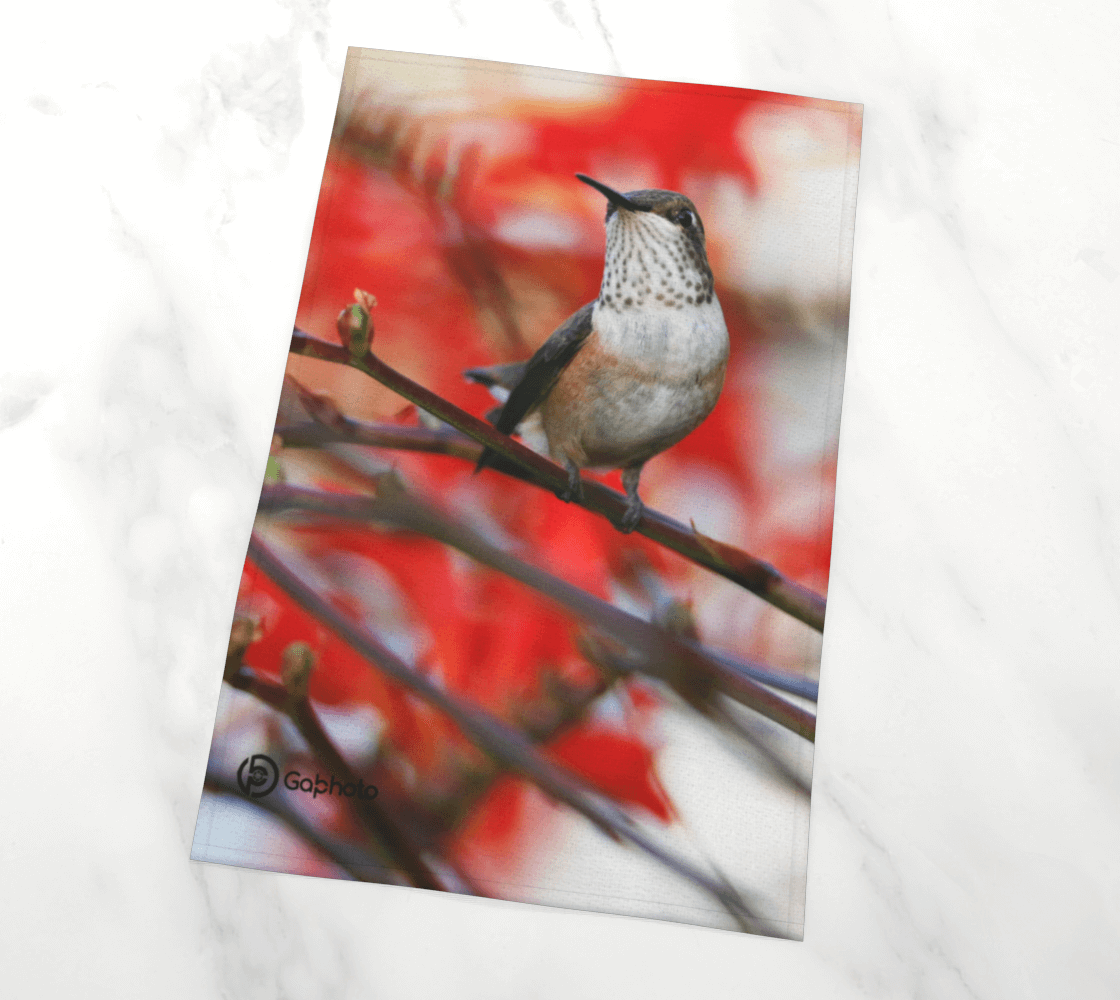 Gabphoto Linge à vaisselle Colibri roux 1b