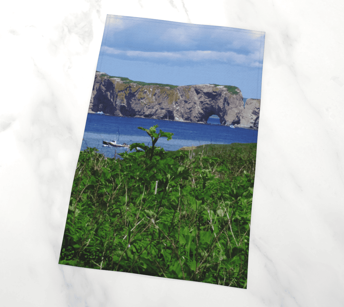 Gabphoto Linge à vaisselle Fou de Bassan 1b