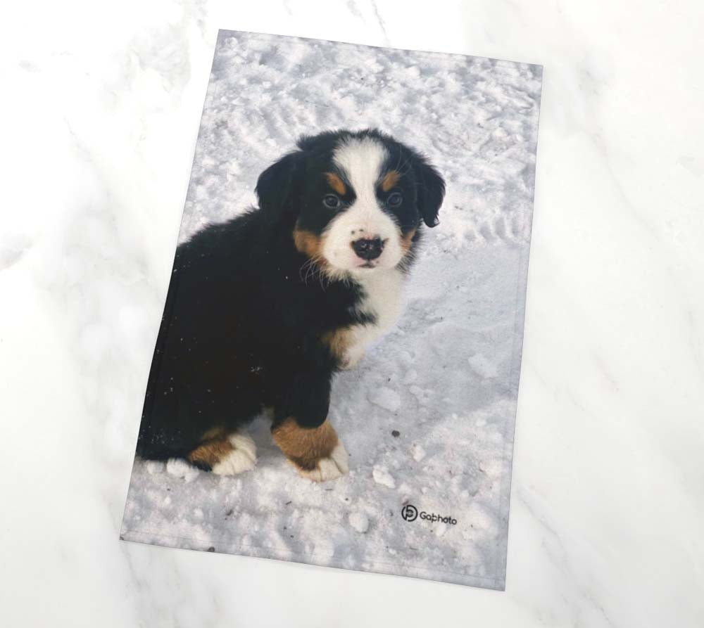 Gabphoto Linge à vaisselle Bouvier Bernier 1a