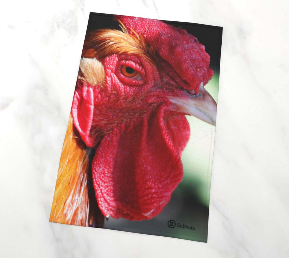 Gabphoto Linge à vaisselle Coq 1a